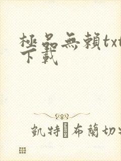 极品无赖txt下载