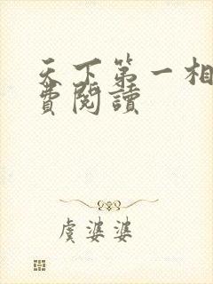 天下第一相书免费阅读