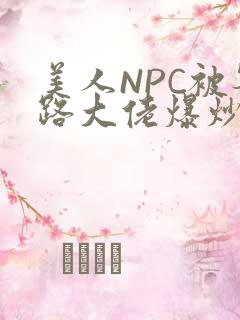 美人NPC被各路大佬爆炒小说