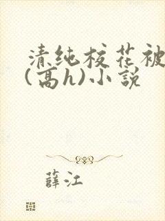 清纯校花被调教(高h)小说