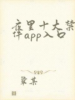 夜里十大禁用软件app入口