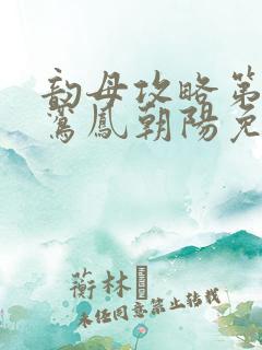 韵母攻略第二部鸾凤朝阳免费