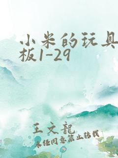 小米的玩具店老板1-29