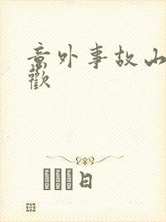 意外事故山月辞欢