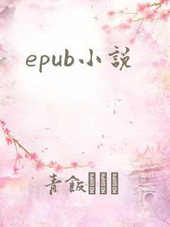 epub小说