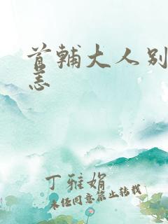 首辅大人别来无恙