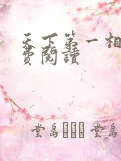 天下第一相书免费阅读