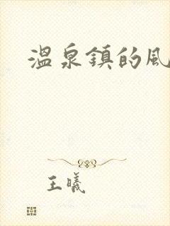 温泉镇的风流事