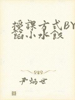 授课方式BY肉馅小水饺