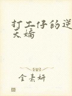 打工仔的逆袭楚天娇