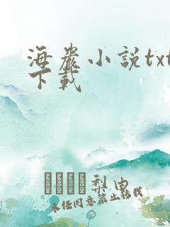 海岩小说txt下载