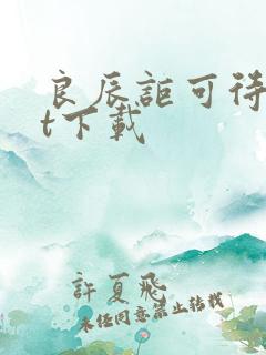 良辰讵可待txt下载