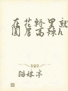 在花轿里就开始圆房高辣h