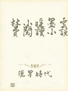 林小暖墨云廷免费阅读小说