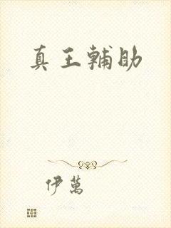 真王辅助