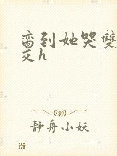 脔到她哭双根宫交h