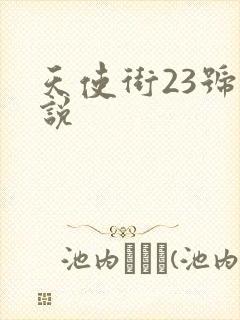 天使街23号小说