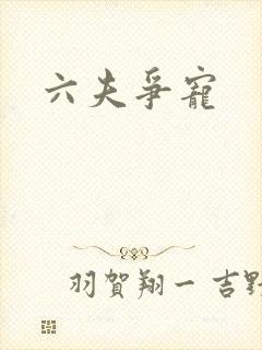 六夫争宠