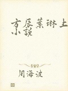 方辰叶琳上官步小说