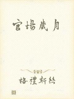 官场岁月