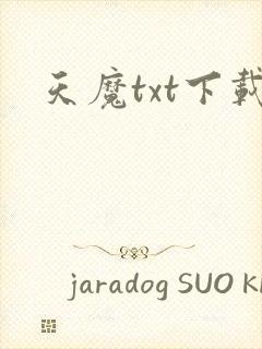 天魔txt下载