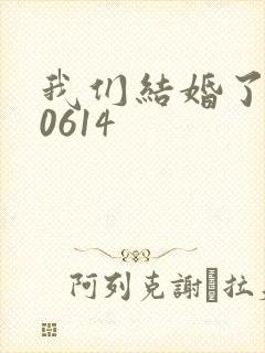 我们结婚了130614