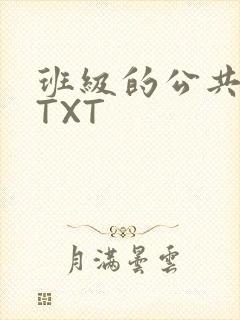 班级的公共玩具TXT