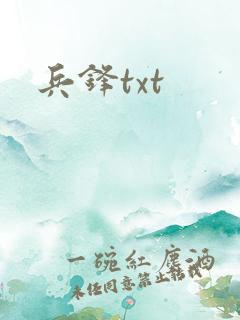 兵锋txt