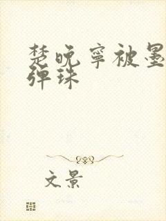 楚晚宁被墨燃塞弹珠