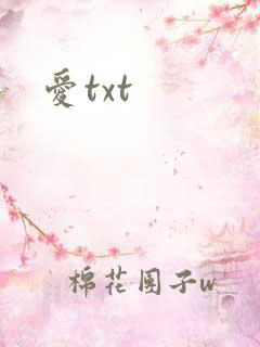 爱txt