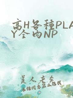 高H各种PLAY全肉NP