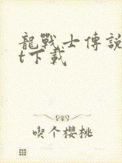 龙战士传说txt下载