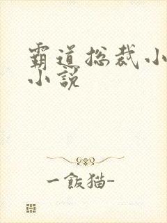 霸道总裁小娇妻小说