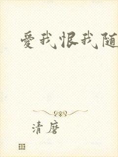 爱我恨我随便你