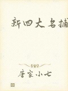 新四大名捕全集