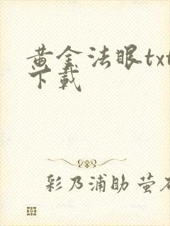 黄金法眼txt下载