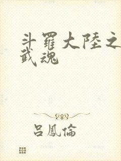 斗罗大陆之三生武魂