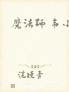 魔法师 韦小宝