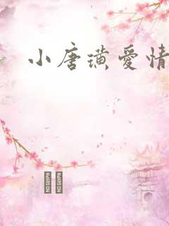 小唐璜爱情历史