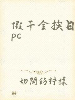 假千金挨日记npc