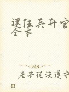 退伍兵升官记 全本