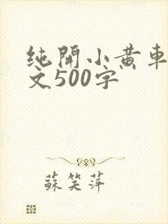 纯开小黄车小短文500字