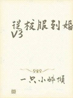 从校服到婚纱1V3