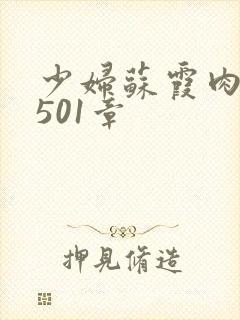 少妇苏霞肉欲第501章