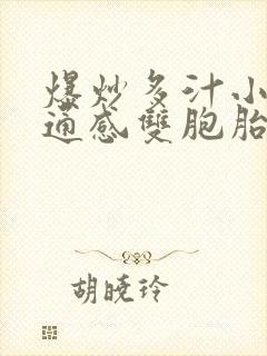 爆炒多汁小美人通感双胞胎