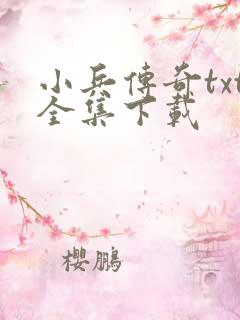 小兵传奇txt全集下载