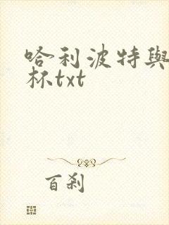 哈利波特与火焰杯txt