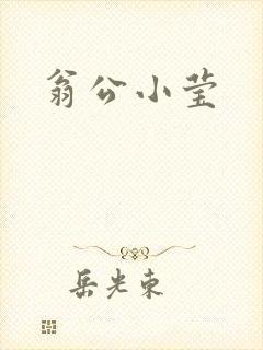翁公小莹