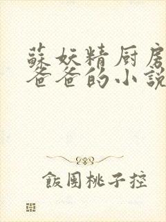 苏妖精厨房爹爹爸爸的小说