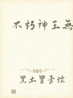 不朽神王无弹窗